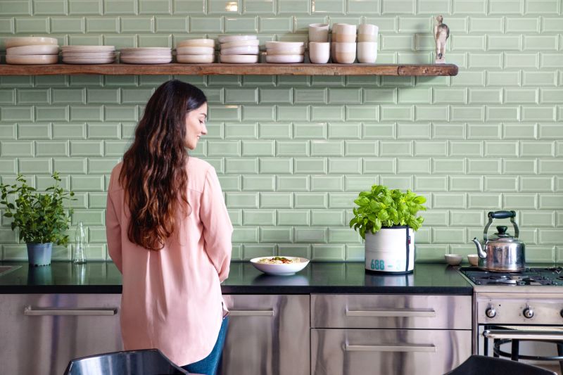 Flora as a plant pot for herbs in the kitchen Flora as a plant pot for herbs in the kitchen