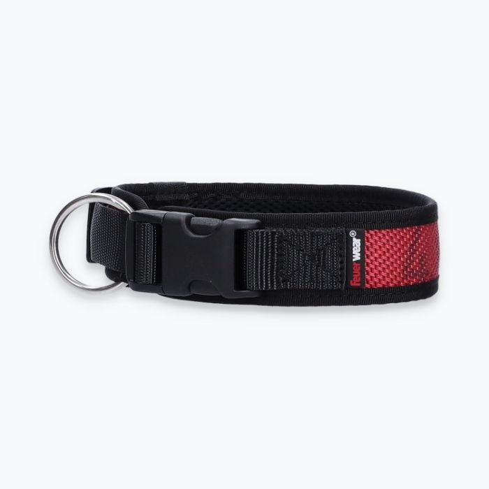 Hunde-Halsband Timmy M 40-45 cm - ht40300194