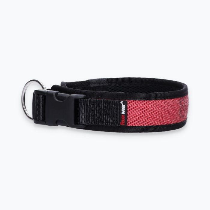 Hunde-Halsband Timmy M 40-45 cm - ht40300202