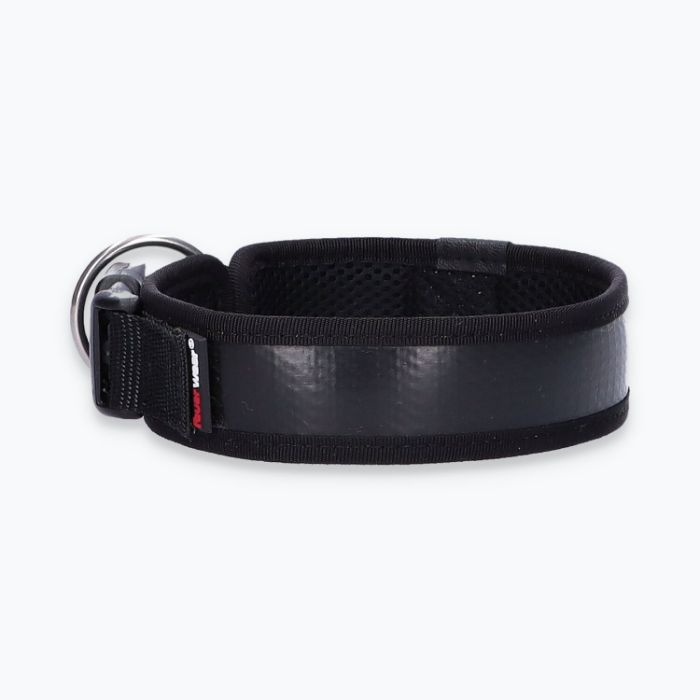 Hunde-Halsband Timmy M 40-45 cm - ht40400022