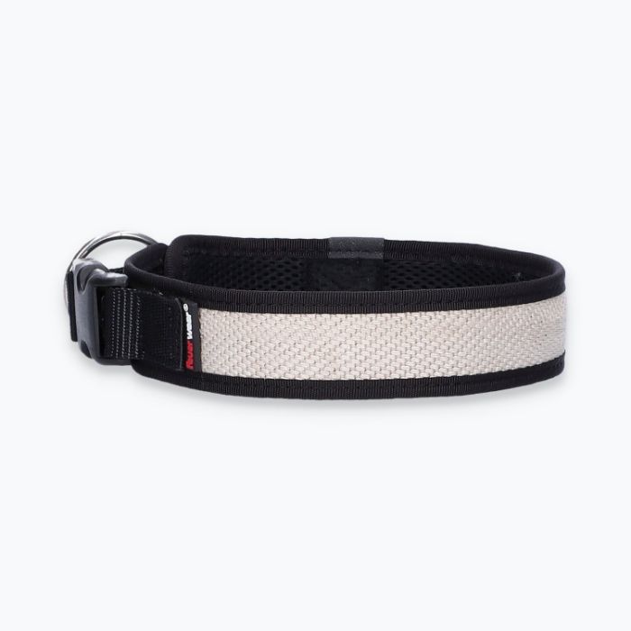 Hunde-Halsband Timmy L 45-50 cm - ht45200006