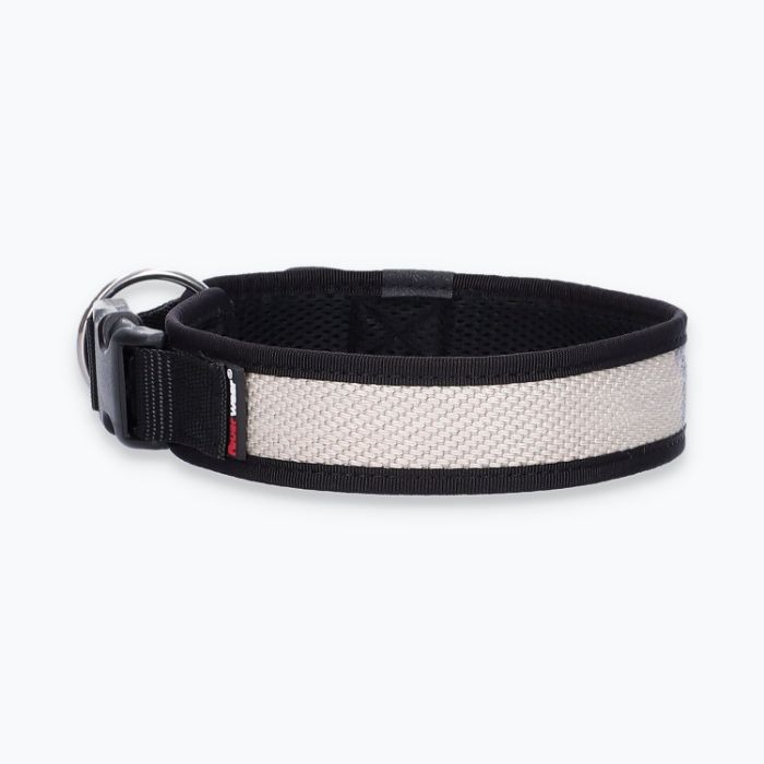 Hunde-Halsband Timmy L 45-50 cm - ht45200096