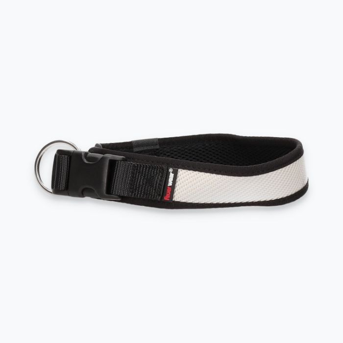 Hunde-Halsband Timmy L 45-50 cm - ht45200127