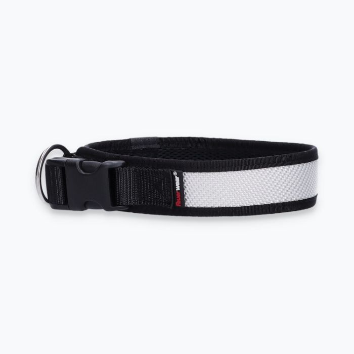 Hunde-Halsband Timmy L 45-50 cm - ht45200166