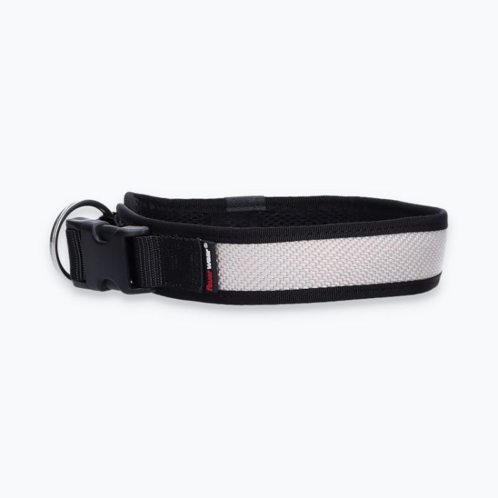 Hunde-Halsband Timmy L 45-50 cm - ht45200168