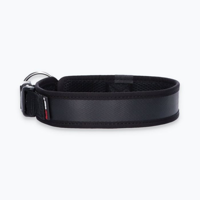 Hunde-Halsband Timmy L 45-50 cm - ht45400002