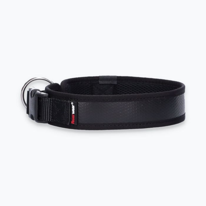 Hunde-Halsband Timmy L 45-50 cm - ht45400007