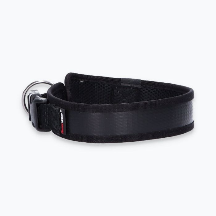 Hunde-Halsband Timmy L 45-50 cm - ht45400008