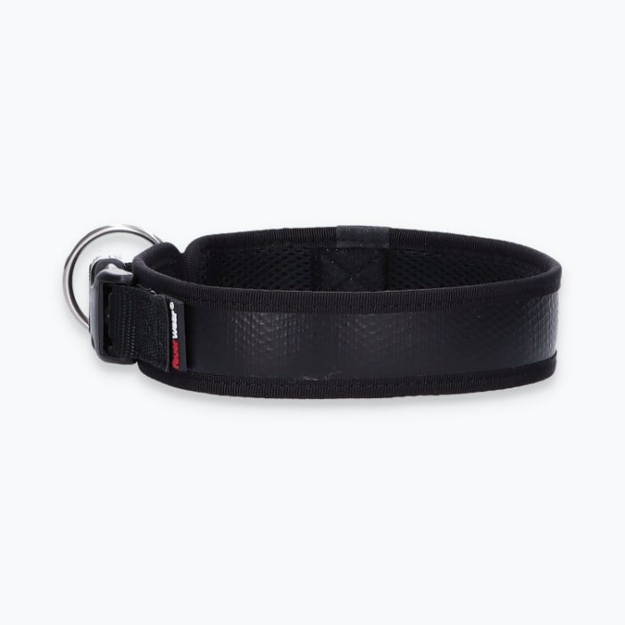 Hunde-Halsband Timmy L 45-50 cm - ht45400013