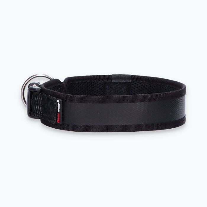 Hunde-Halsband Timmy L 45-50 cm - ht45400016