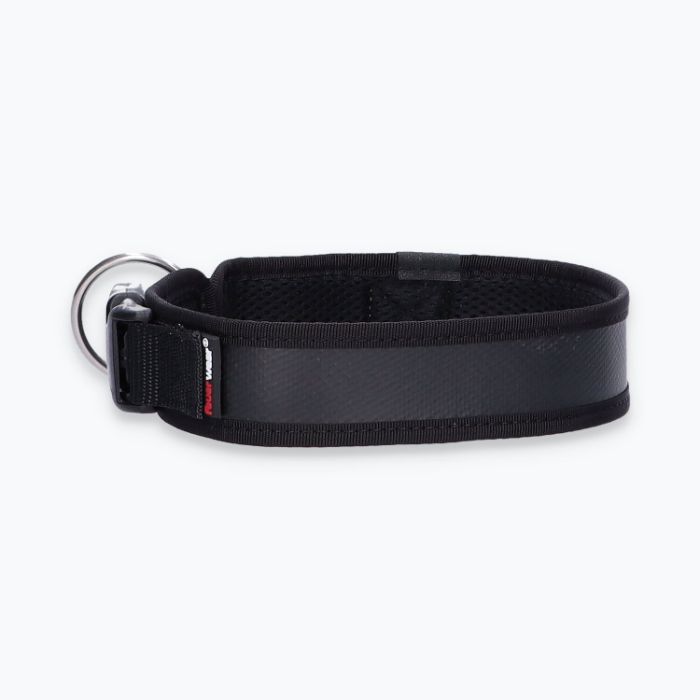 Hunde-Halsband Timmy L 45-50 cm - ht45400024