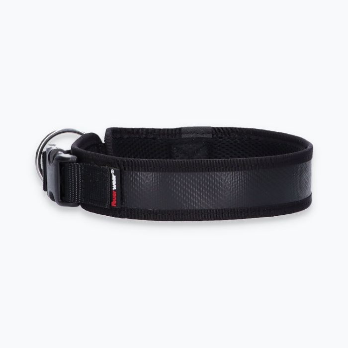 Hunde-Halsband Timmy L 45-50 cm - ht45400032