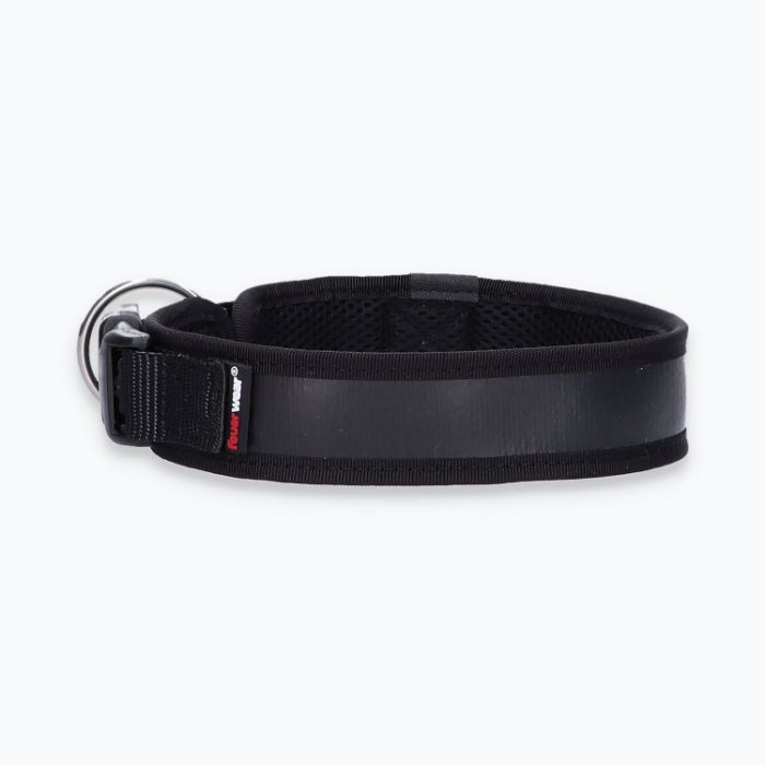 Hunde-Halsband Timmy L 45-50 cm - ht45400039