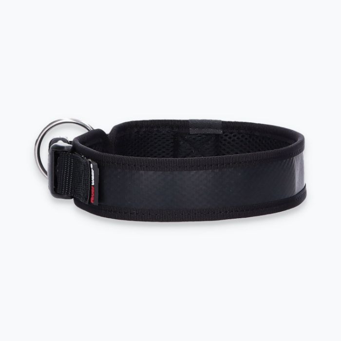 Hunde-Halsband Timmy L 45-50 cm - ht45400041