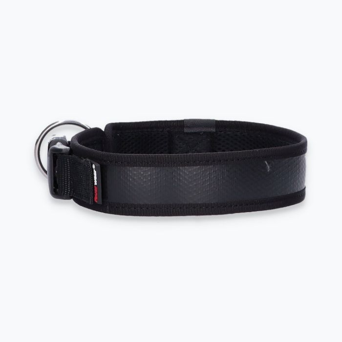 Hunde-Halsband Timmy L 45-50 cm - ht45400043