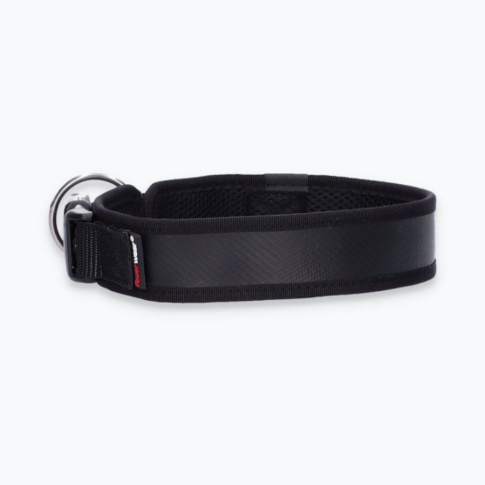 Hunde-Halsband Timmy L 45-50 cm - ht45400047