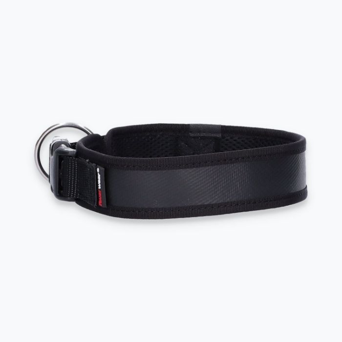 Hunde-Halsband Timmy L 45-50 cm - ht45400050