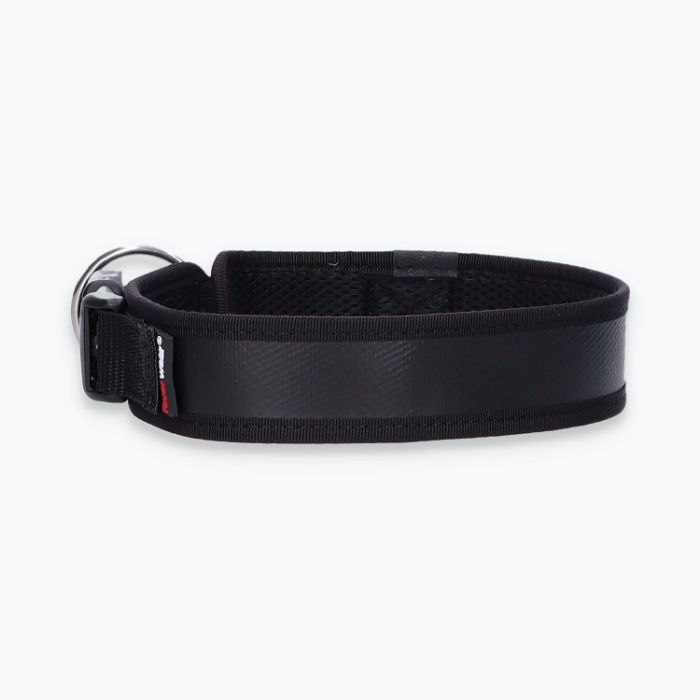 Hunde-Halsband Timmy L 45-50 cm - ht45400052