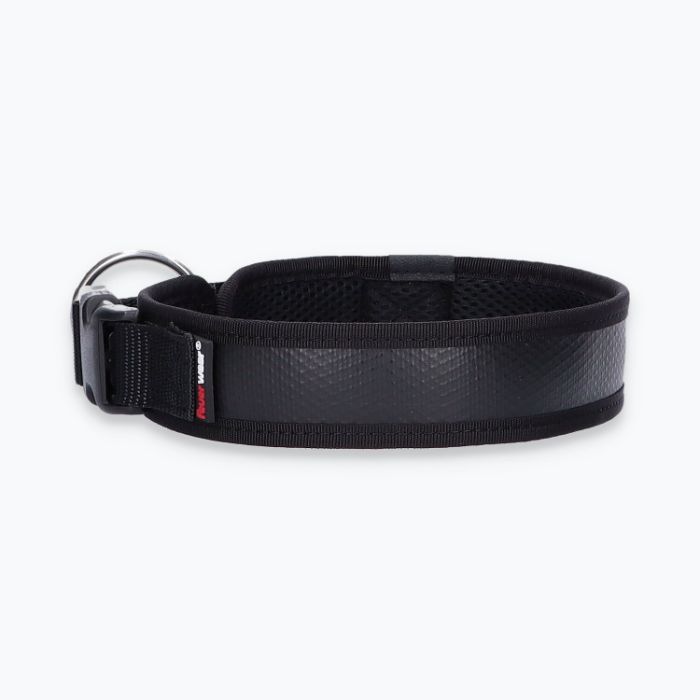 Hunde-Halsband Timmy L 45-50 cm - ht45400053