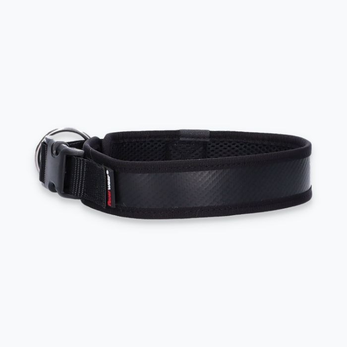 Hunde-Halsband Timmy L 45-50 cm - ht45400055