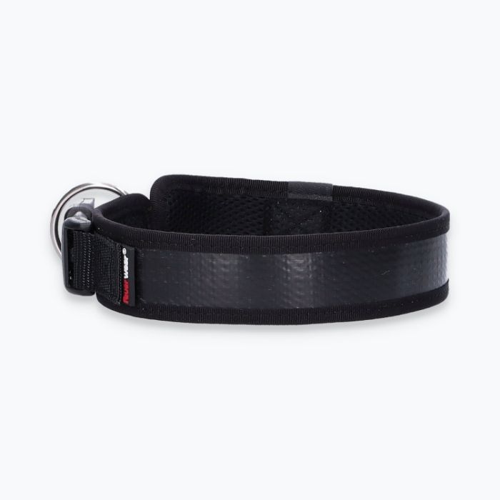 Hunde-Halsband Timmy L 45-50 cm - ht45400060