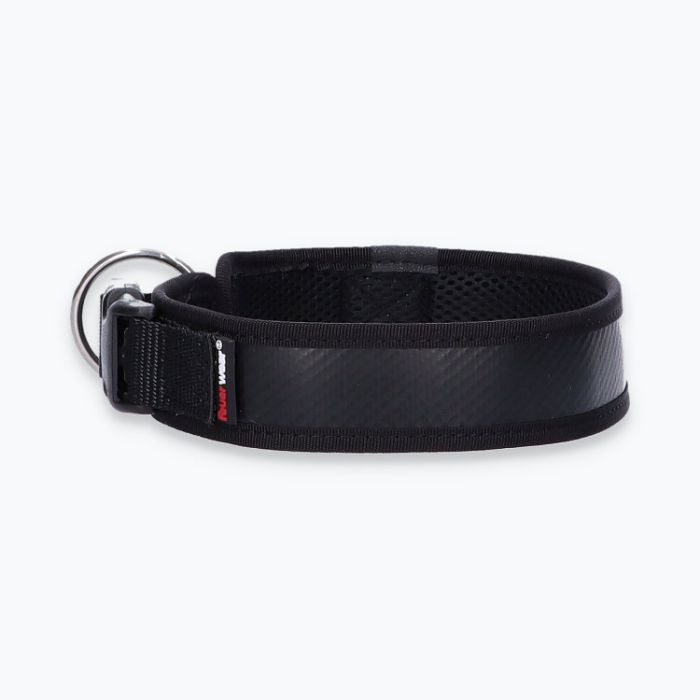 Hunde-Halsband Timmy L 45-50 cm - ht45400069