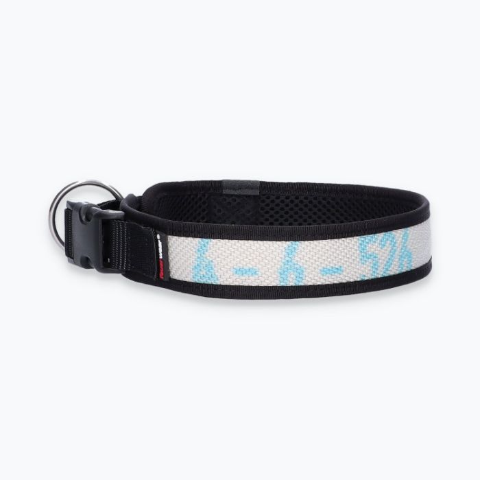 Hunde-Halsband Timmy XL 50-55 cm - ht50200004