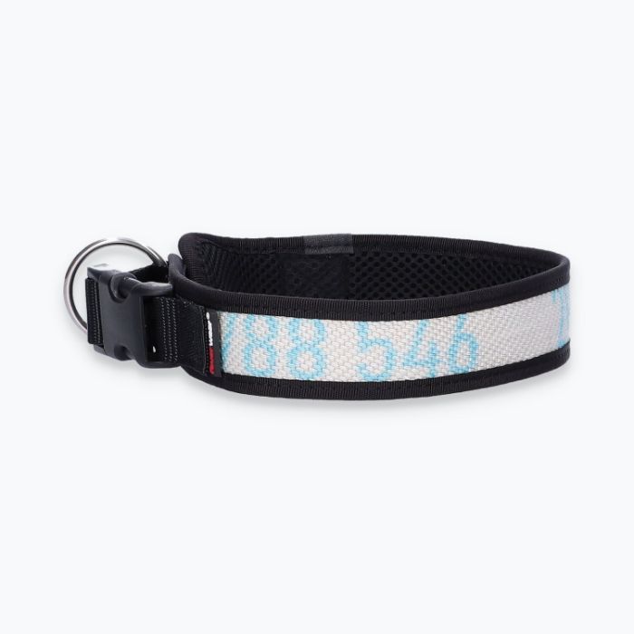 Hunde-Halsband Timmy XL 50-55 cm - ht50200015