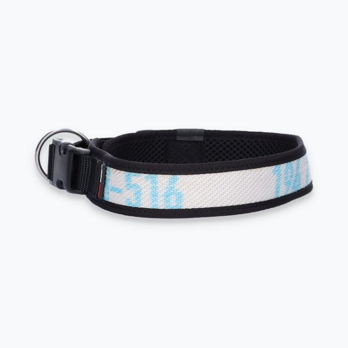 Hunde-Halsband Timmy XL 50-55 cm - ht50200016