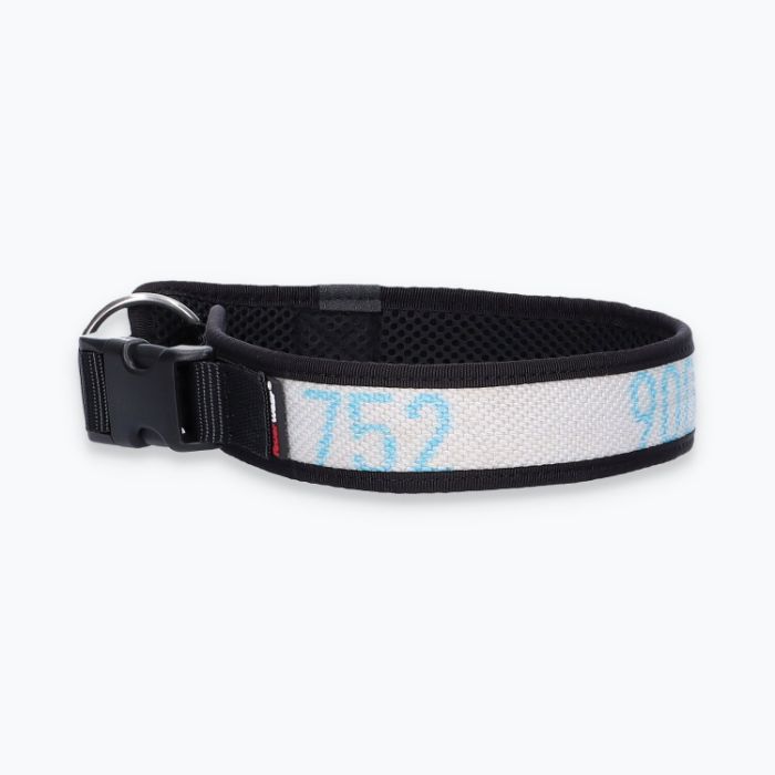 Hunde-Halsband Timmy XL 50-55 cm - ht50200062