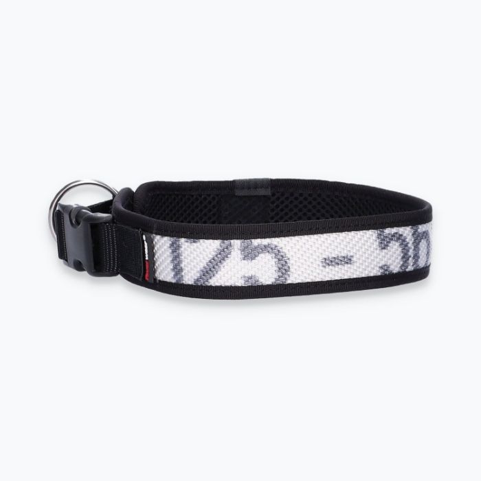 Hunde-Halsband Timmy XL 50-55 cm - ht50200063