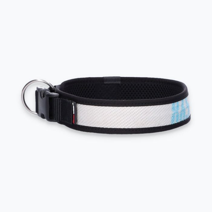 Hunde-Halsband Timmy XL 50-55 cm - ht50200071