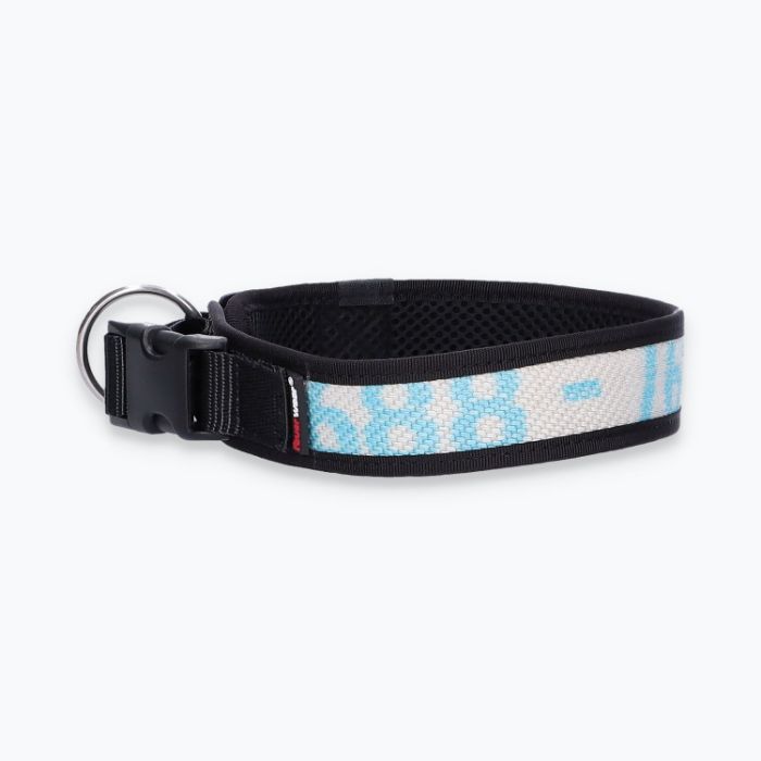 Hunde-Halsband Timmy XL 50-55 cm - ht50200079