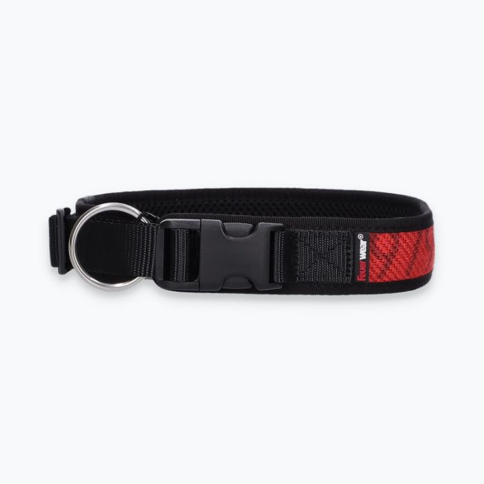 Hunde-Halsband Timmy XL 50-55 cm - ht50300104