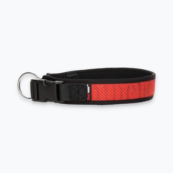 Hunde-Halsband Timmy XL 50-55 cm - ht50300134