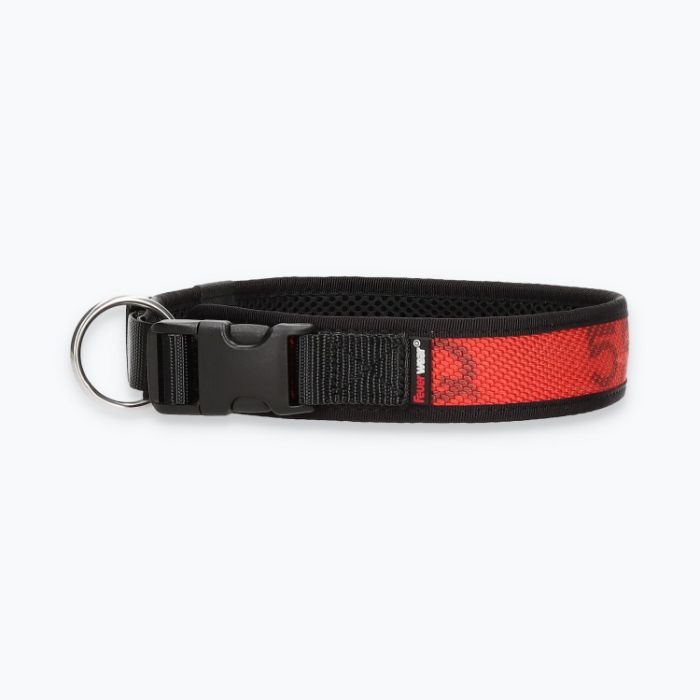 Hunde-Halsband Timmy XL 50-55 cm - ht50300137