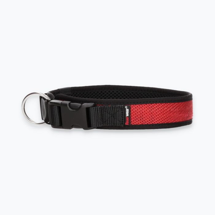 Hunde-Halsband Timmy XL 50-55 cm - ht50300146