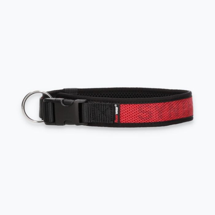Hunde-Halsband Timmy XL 50-55 cm - ht50300155