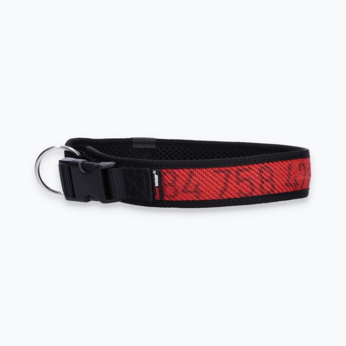 Hunde-Halsband Timmy XL 50-55 cm - ht50300161