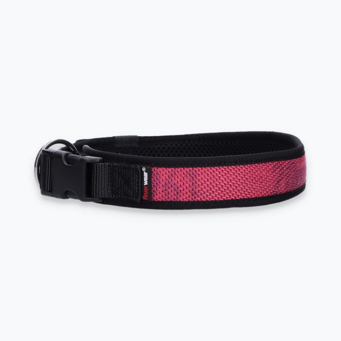Hunde-Halsband Timmy XL 50-55 cm - ht50300162