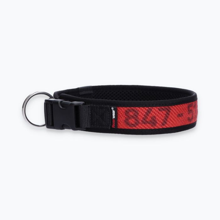 Hunde-Halsband Timmy XL 50-55 cm - ht50300163