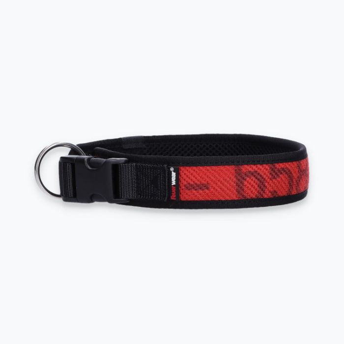 Hunde-Halsband Timmy XL 50-55 cm - ht50300165