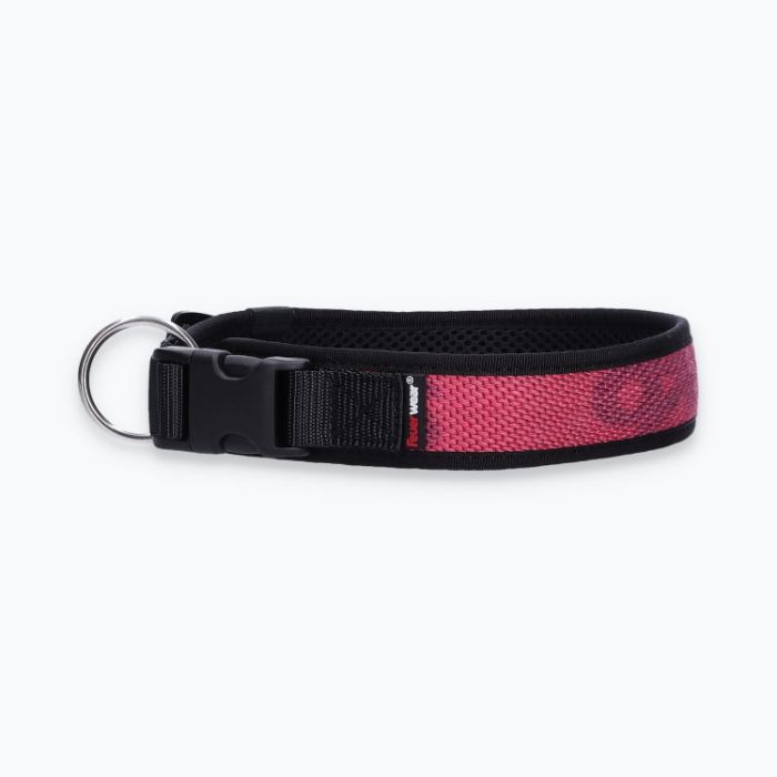 Hunde-Halsband Timmy XL 50-55 cm - ht50300166