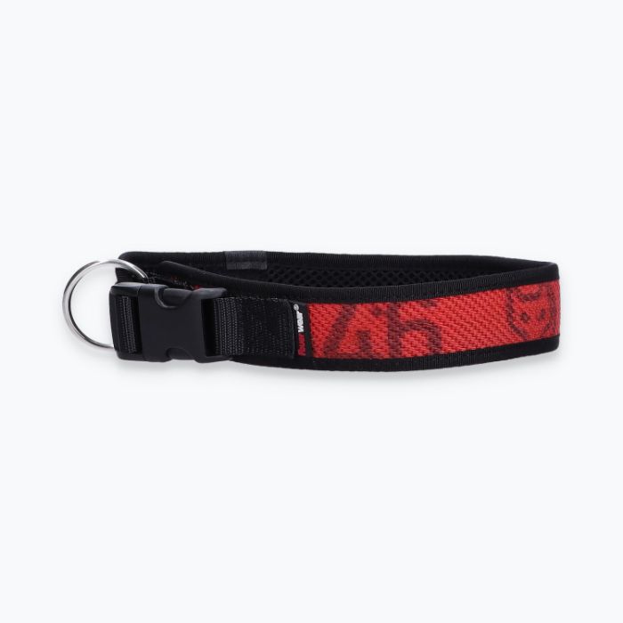 Hunde-Halsband Timmy XL 50-55 cm - ht50300167