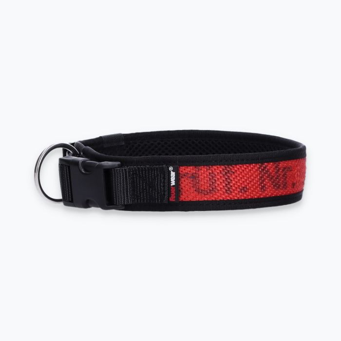Hunde-Halsband Timmy XL 50-55 cm - ht50300169