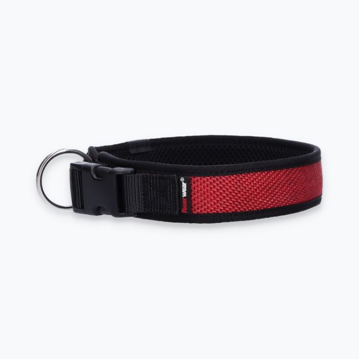 Hunde-Halsband Timmy XL 50-55 cm - ht50300170