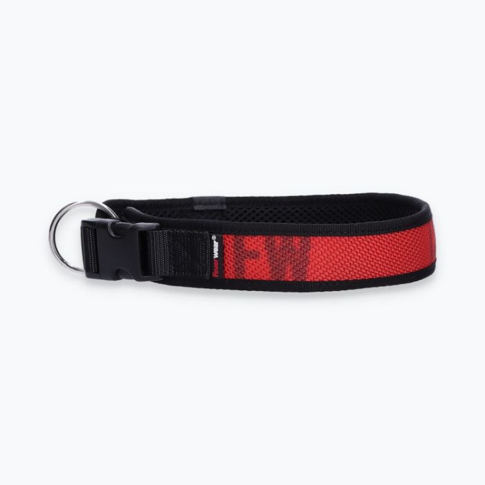 Hunde-Halsband Timmy XL 50-55 cm - ht50300171