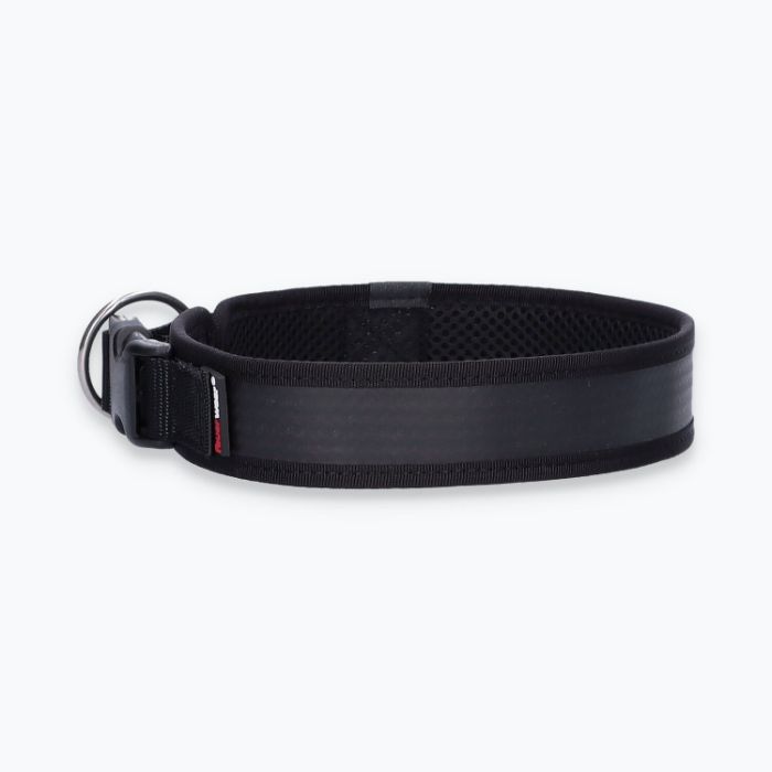 Hunde-Halsband Timmy XL 50-55 cm - ht50400009