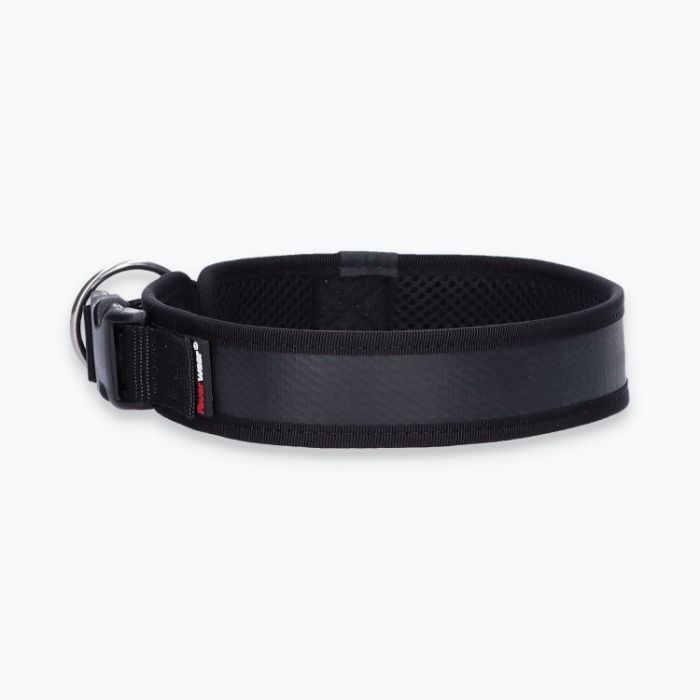 Hunde-Halsband Timmy XL 50-55 cm - ht50400024