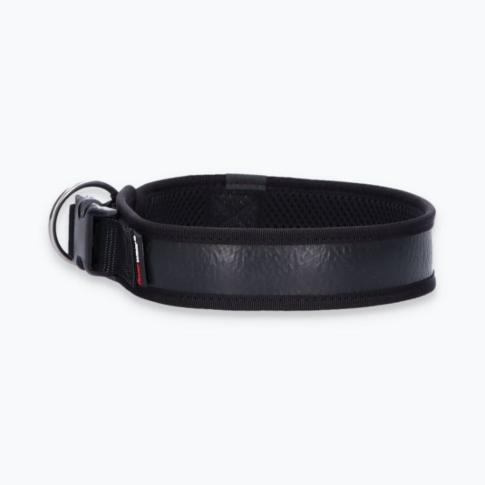 Hunde-Halsband Timmy XL 50-55 cm - ht50400034